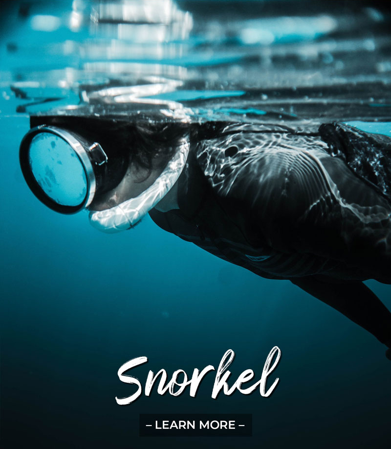 Snorkelling Mornington Peninsula